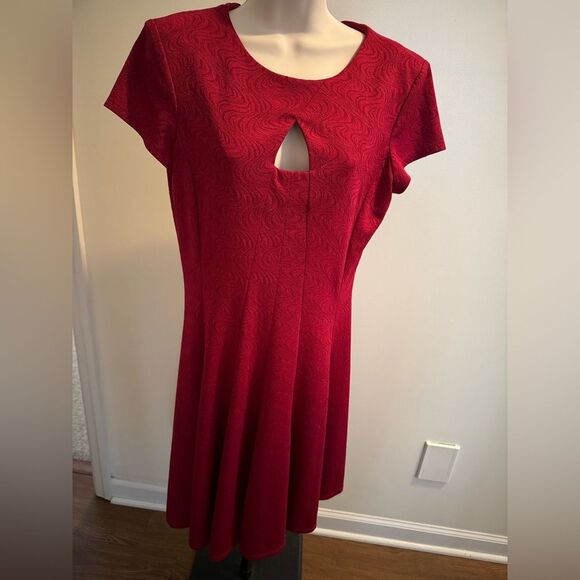 Danny and Nicole red dress size 10 - Picture 2 of 9